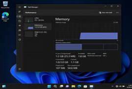 Windows 11 Pro 22H2 (22610.1) by FBConan